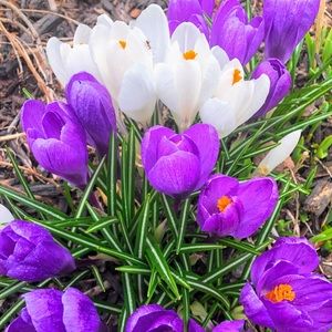 SALE💰SALE💰SALE💰